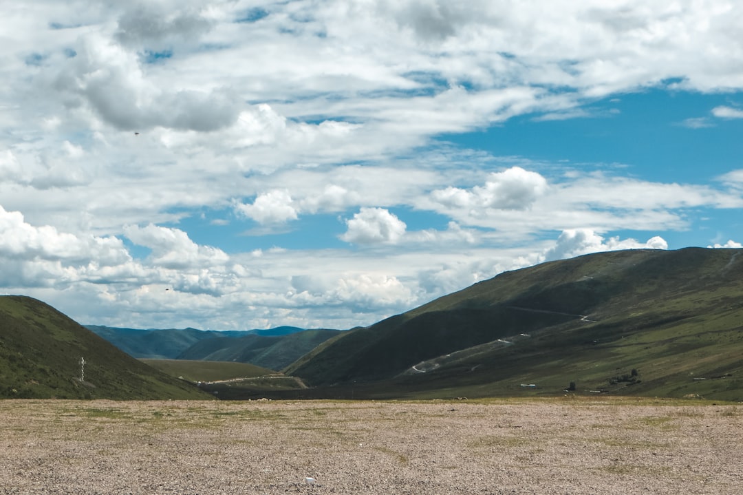 The Growing Importance of Organized Links for Online Content Discovery